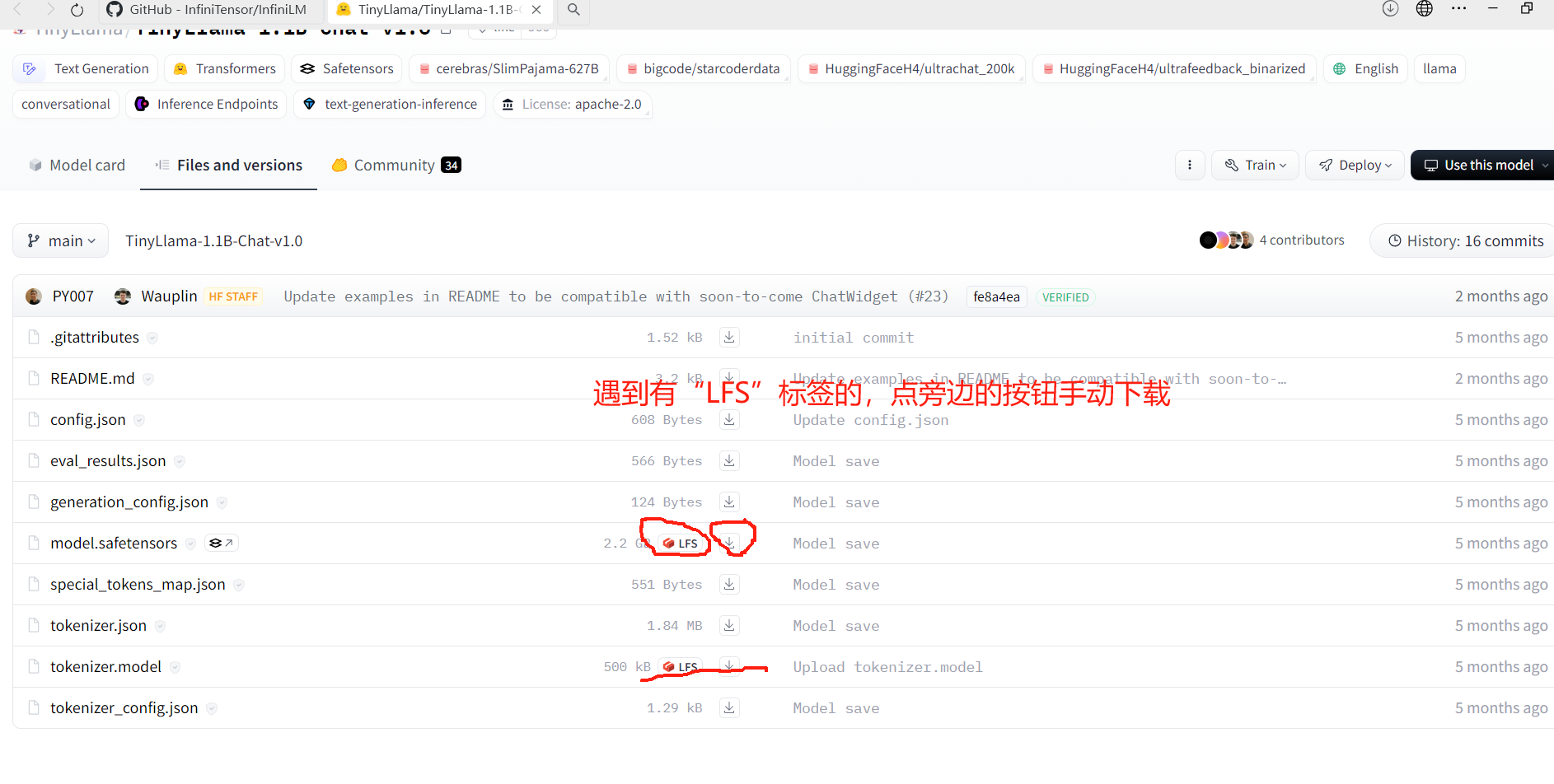 在镜像上手动下载模型LFS文件